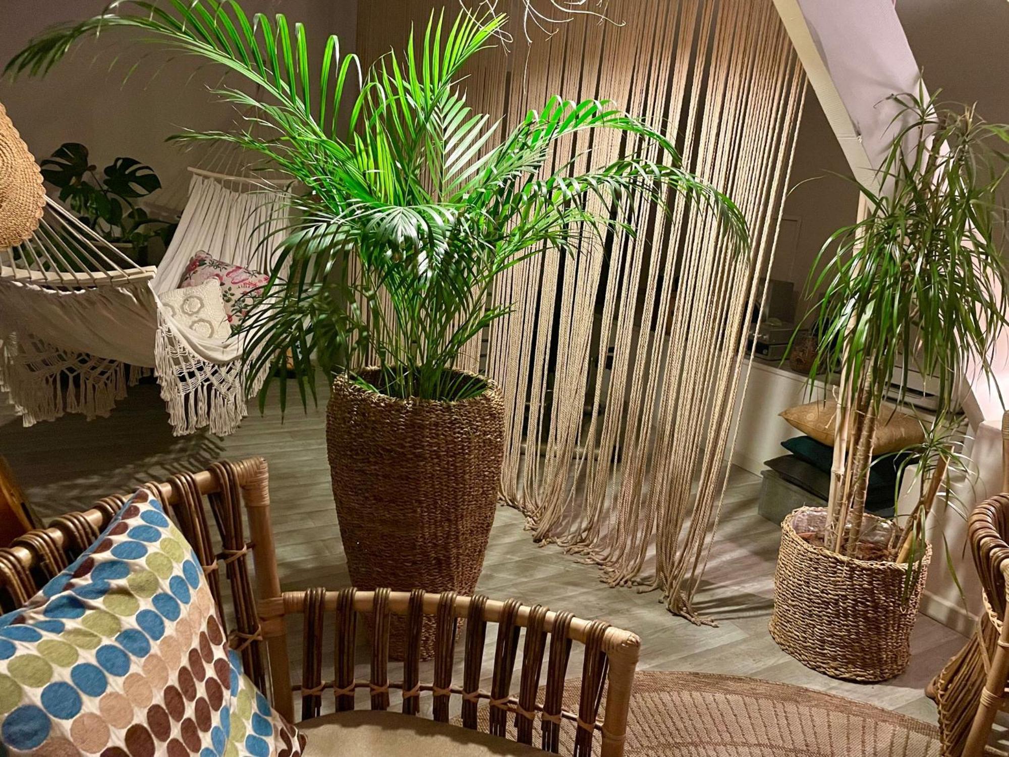 Chambre Boheme Chez Rachel Pau Bagian luar foto